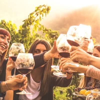Top 5 Pro Tips for Wine Tours